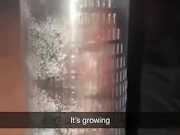 Penis pump growth  4/16