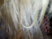 Busty MILF playing with my dick 8/16