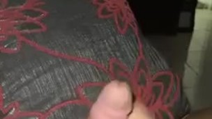 Paja en casa