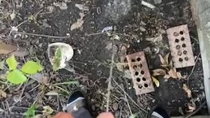 Pee outdoors 