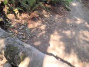 Nerdy Faery Pisses at Sunset 6/16