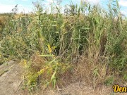 cutie with butt plug and jacket glasses with blue hair loves to have sex sucking dick on the river 3/16