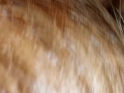 Hermosa  Latina Hace el Mejor Oral de su vida 5/16