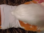 Deer gets Nailed 15/16