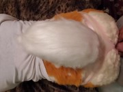 Deer gets Nailed 8/16