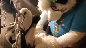 Sex Swing at DenFur 😈