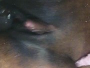 School girl on her laptop while taking daddy big black cock I hope I pass my exam  10/16