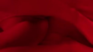 Jeune baise en pleine nuit