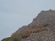 Nerdy Faerys Piss on The Misty Mountain 11/16