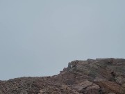 Nerdy Faerys Piss on The Misty Mountain 12/16