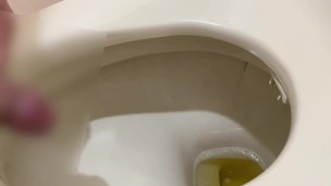 Peeing in the toilet 
