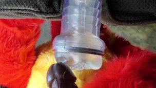 FireStorm Playing With His Favorite Toy