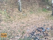 Секс в лесу на берегу озера с замужней милфой, чуть не кончил в неё 16/16