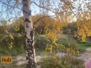 Секс в лесу на берегу озера с замужней милфой, чуть не кончил в неё 4/16