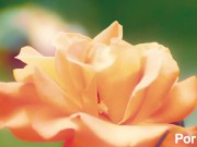 naughty fuck action 10/16