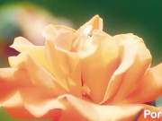 naughty fuck action 12/16