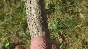 Wichsen im Wald