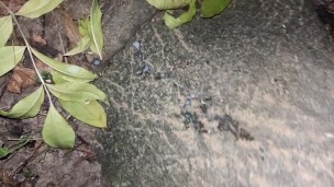 Cumshot behind a tree in the night and showing cum load after cum