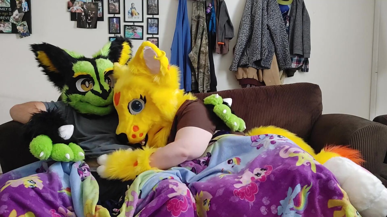 Sexy Furry movie night