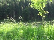 Sexy body of my babe show how my dick can be hard in a while - Tonny and Mia 11/16