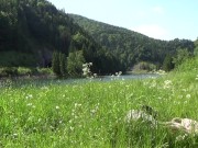 Sexy body of my babe show how my dick can be hard in a while - Tonny and Mia 12/16