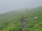 Nerdy Faery Golden Piss And Winking Asshole On The Path 3/16