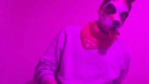 Twink pup fucks clear flesh light