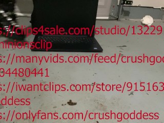 laptop crush in sexy boots