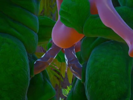 Furry aliens have a double anal challenge | wild life sex