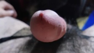Musky Dick close up 2018