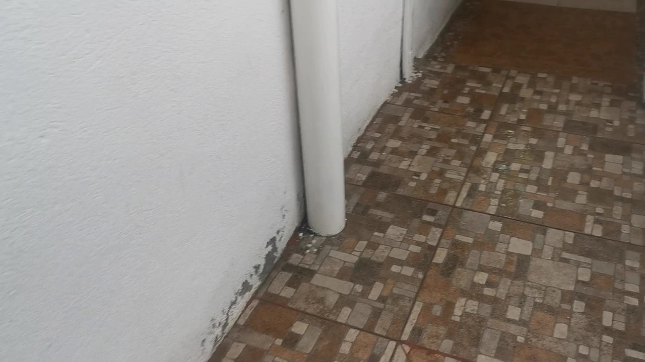Fucking WITH MY WIFE'S SISTER while at my house - Free Sex Video - RedTube