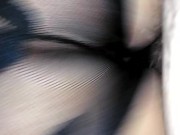 CREAMPIE Sexy Big Booty Latina Sucking, Fucking Threw Panties 11/16