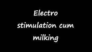 Electro stimulation cum milking