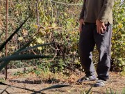 Autumn in the garden. Sunny day 1/16