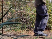 Autumn in the garden. Sunny day 10/16