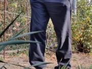 Autumn in the garden. Sunny day 11/16