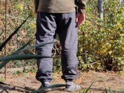 Autumn in the garden. Sunny day 12/16