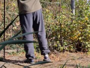 Autumn in the garden. Sunny day 13/16