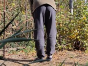 Autumn in the garden. Sunny day 14/16