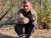 Autumn in the garden. Sunny day 15/16