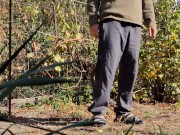 Autumn in the garden. Sunny day 2/16