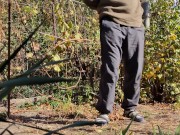 Autumn in the garden. Sunny day 3/16