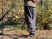 Autumn in the garden. Sunny day 4/16