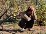 Autumn in the garden. Sunny day