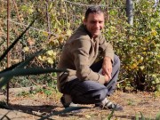 Autumn in the garden. Sunny day 6/16