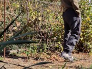 Autumn in the garden. Sunny day 8/16