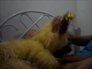 magrinho do pauzão transando com ursos de pelucia 11/16