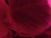 captured a big dick. Fucked as I wanted 2/16