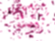 GIRLSRIMMING - Amazing rimjob with blonde Kenna James in the office 15/16