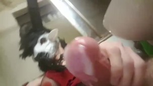 cum Handsfree in latex tranny goat mask